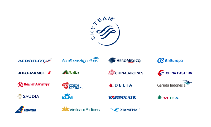 skyteam1